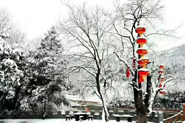 銀色高貴的裙裾，徐徐轉(zhuǎn)出優(yōu)美的芭蕾舞姿，涼爽和舒適瞬間溫柔擁你入懷！-瑞泰風(fēng)工業(yè)大風(fēng)扇