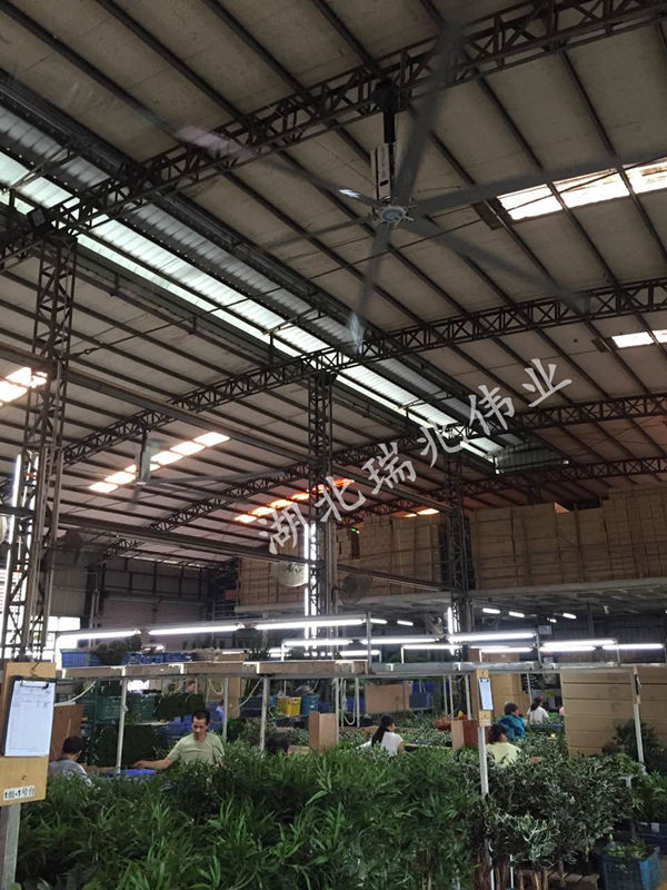 大型工業(yè)吊扇，效果好且省錢