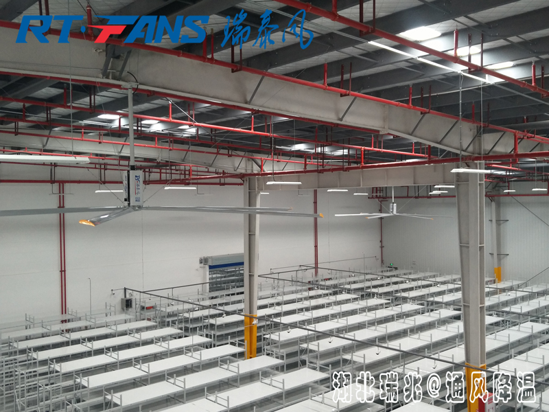 工業(yè)大風(fēng)扇具體的通風(fēng)降溫效果怎么樣，有什么作用呢